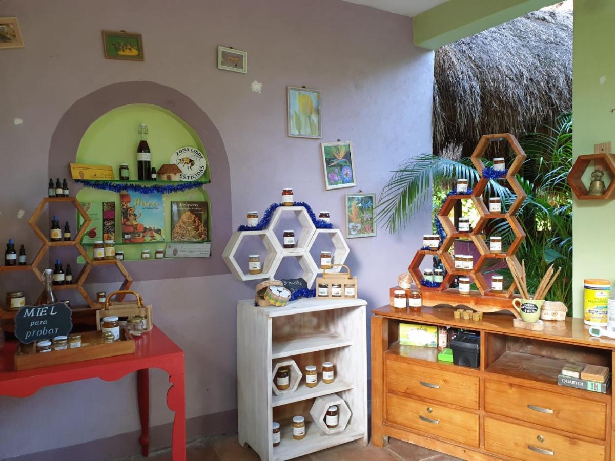 טולום Casa Don Diego מראה חיצוני תמונה