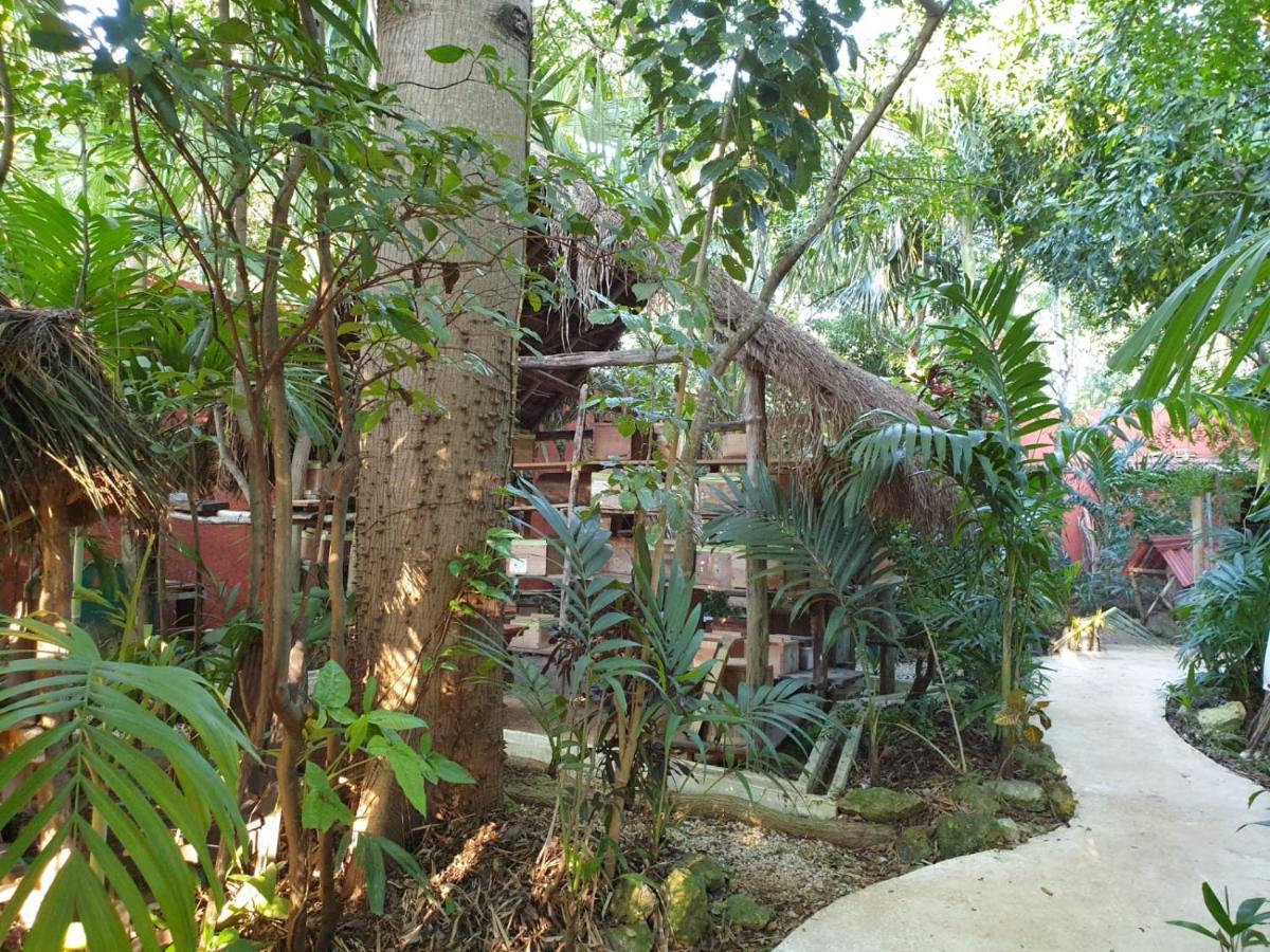 טולום Casa Don Diego מראה חיצוני תמונה