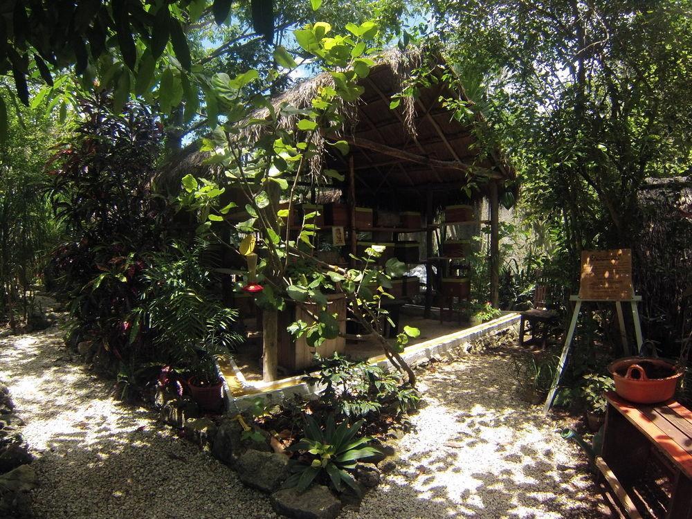טולום Casa Don Diego מראה חיצוני תמונה